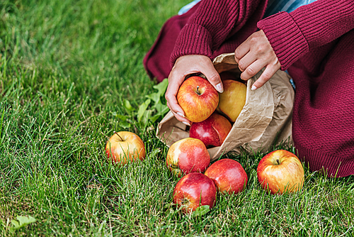 cropped view of girl apples in paper bag on green grass