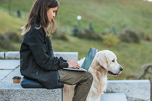 side view of freelancer using laptop while sitting with dog in park