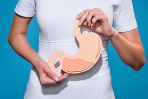 cropped shot of woman holding paper crafted stomach in hands on blue background