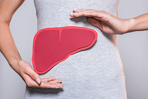 partial view of woman with paper made human liver on grey background
