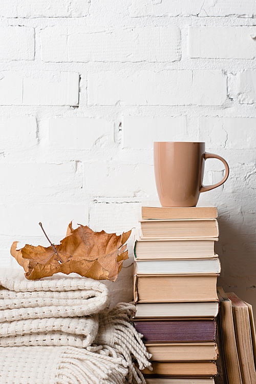 pile of books, blanket, dry autumn leaf and cup of hot beverage near white brick wall