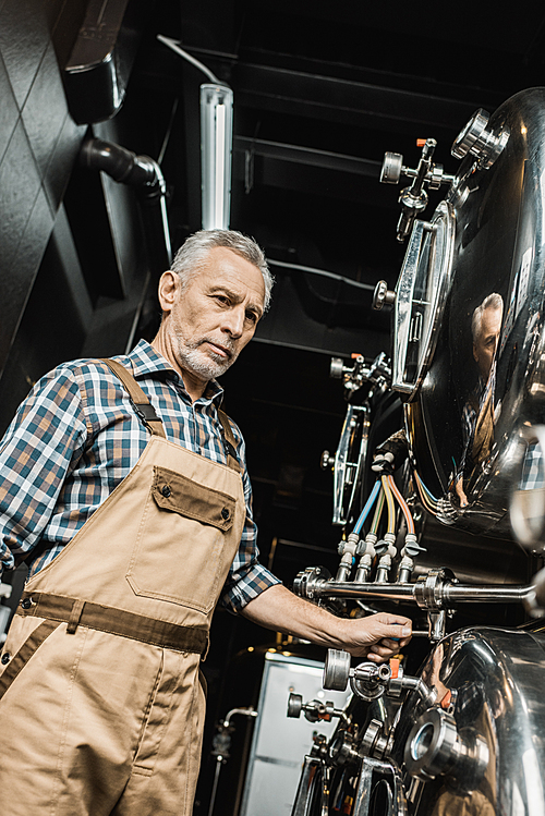 professional handsome brewer working with brewery equipment
