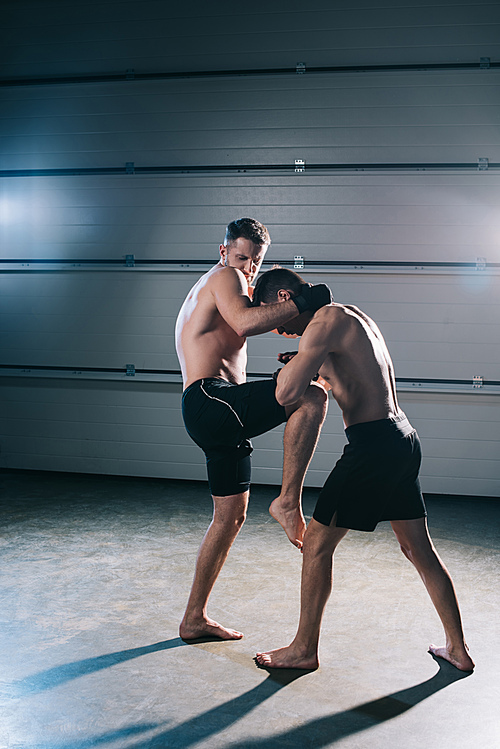 muscular mma fighter kicking sportive opponent with knee