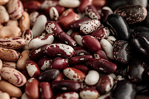 close up view of diverse uncooked beans
