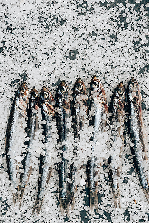 유토이미지 | Top view of pile of salted fish and on surface covered by salt