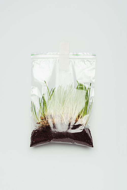 plastic bag with seedling and soil hanging isolated on white, earth day concept