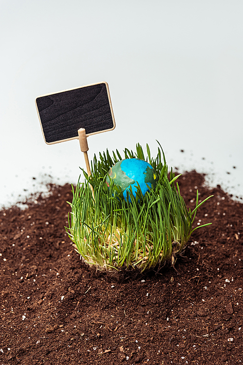 seedling with earth model and blackboard on soil isolated on white, earth day concept