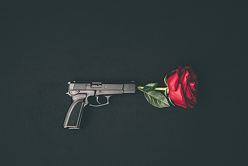 Red rose shooting from gun isolated on black