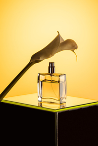 spray bottle of perfume and calla flower, on yellow