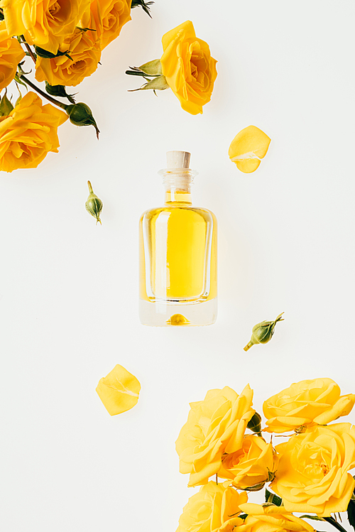 top view of glass bottle of perfume and yellow roses on white