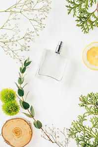 top view of bottle of fresh perfume with floral composition around on white