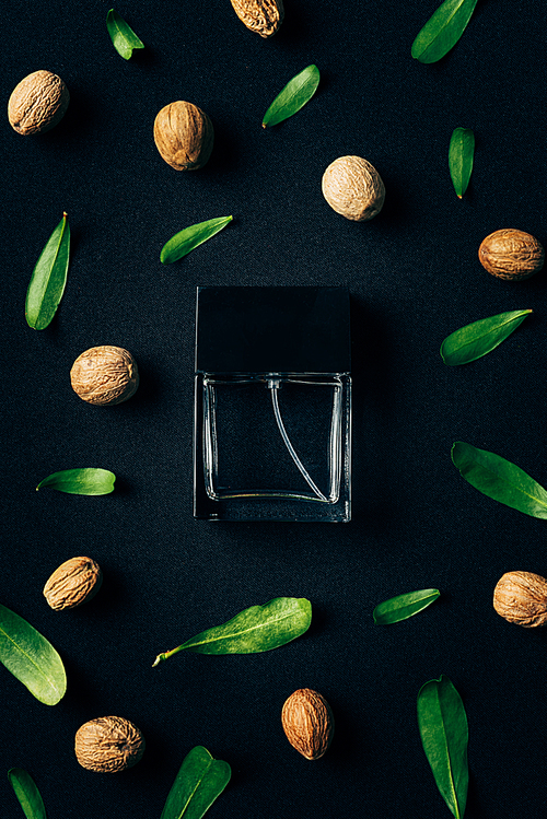 top view of bottle of perfume with green leaves and walnuts around on black