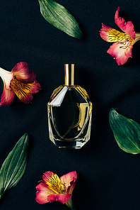top view of bottle of perfume surrounded with alstroemeria flowers and leaves on black