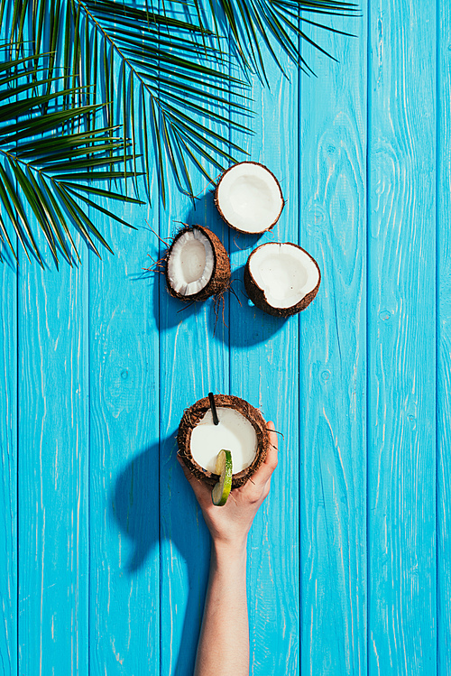 top view of human hand with coconut cocktail, cracked coconuts and palm leaves on turquoise wooden surface