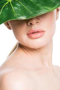 beautiful naked girl with green tropical leaf on face isolated on white