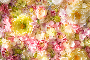 beautiful floral background with tender flowers