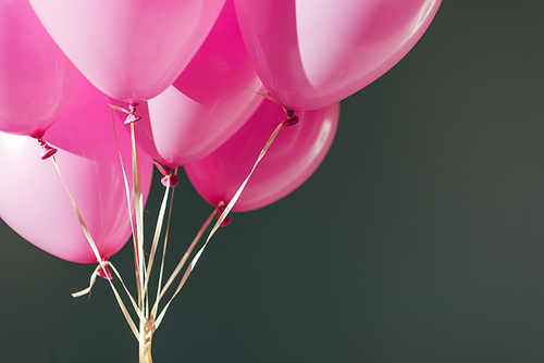 close up view of pink balloons isolated on grey