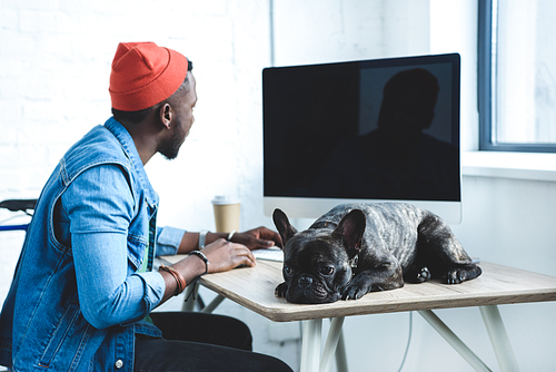 African american man working by computer while French bulldog lying on table