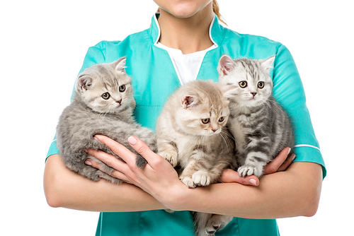 cropped shot of veterinarian holding three adorable kittens isolated on white