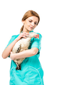 portrait of veterinarian in uniform holding chicken isolated on white