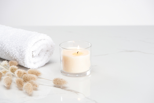fluffy bunny tail grass near burning white candle in glass and rolled towel on marble white surface