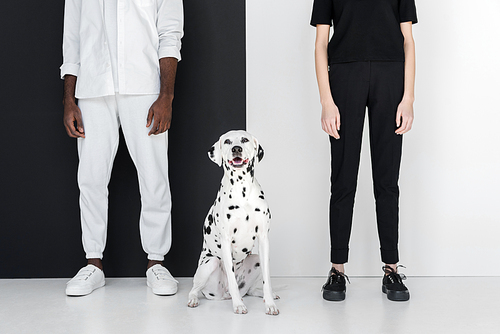 cropped image of african american boyfriend and girlfriend standing with dalmatian dog near black and white wall