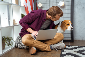 young male freelancer with laptop talking to beagle sitting near usa flag in home office