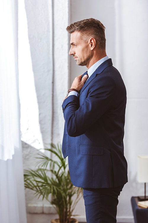 side view of handsome man in suit wearing necktie and looking away at home