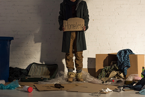 cropped view of houseless man holding piece of cardboard with homeless handwritten text