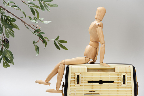 Wooden doll on vintage radio beside plant isolated on grey
