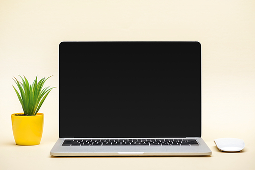 laptop with blank screen, computer mouse and green plant on beige background