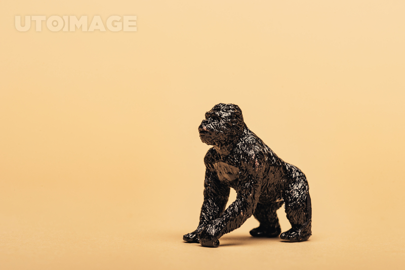 유토이미지 | Black toy gorilla on yellow background, animal welfare concept