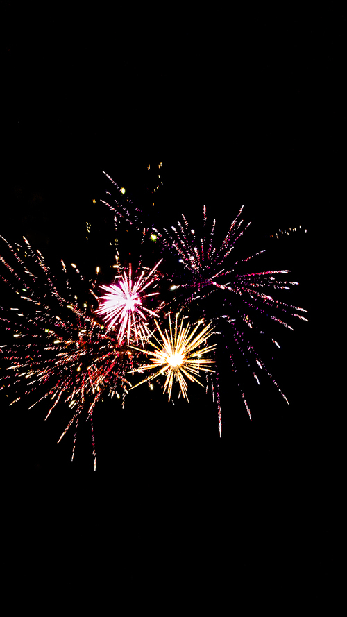 red pink and orange fireworks in dark night sky, isolated on black