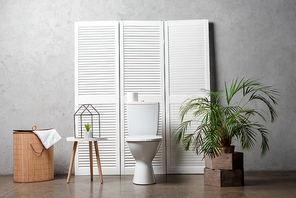 interior of modern bathroom with toilet bowl near folding screen, laundry basket, palm tree and decoration