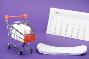 tampons in small shopping cart, daily liners and calendar on purple