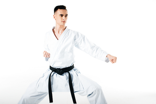 male karate fighter exercising isolated on white