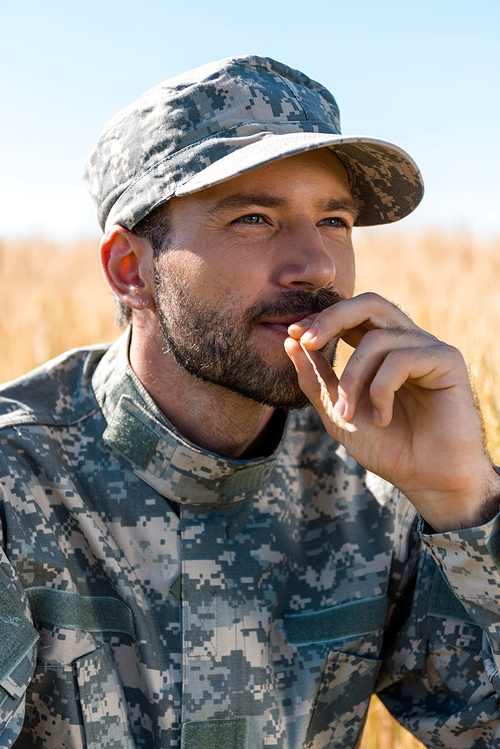 handsome soldier in military uniform and cap holding wheat near lips