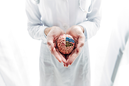 cropped view of doctor in white coat holding model of brain in clinic