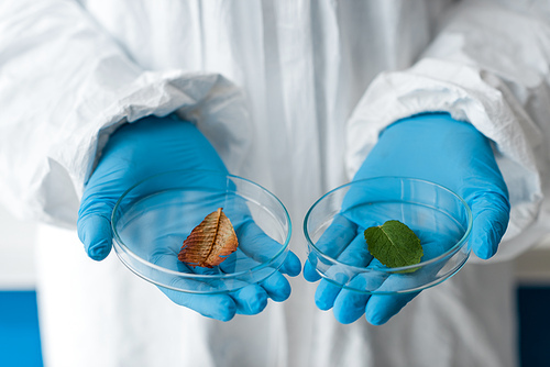 cropped view of biologist in latex gloves holding leaves in lab