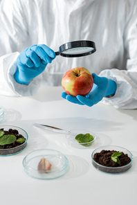 cropped view of biologist looking at apple with magnifying glass