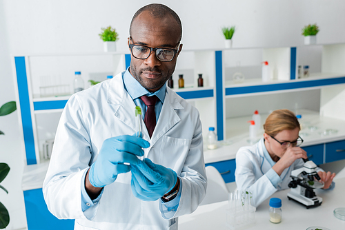 selective focus of african american biologist holding test tube and colleague using microscope on background