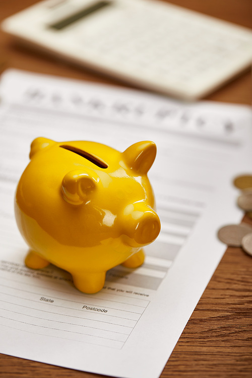 selective focus of yellow piggy bank on bankruptcy form