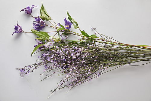 top view of violet flower bouquet on white background