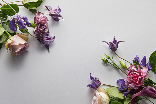 top view of violet and purple flowers on white background