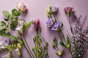 top view of beautiful flowers on violet background
