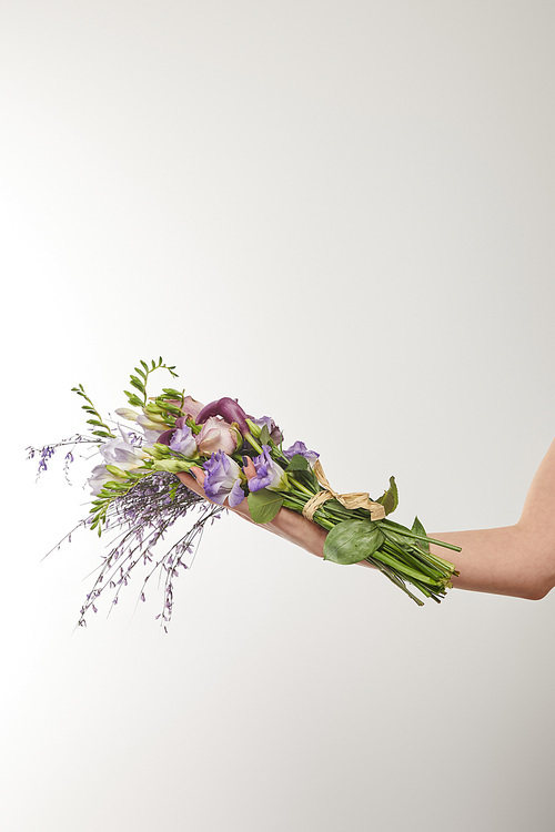 cropped view of woman holding bouquet of violet and purple flowers on white