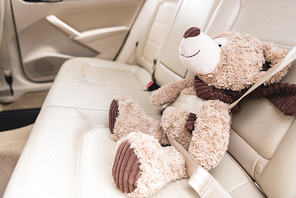 close up view of teddy bear with fastened seat belt in car