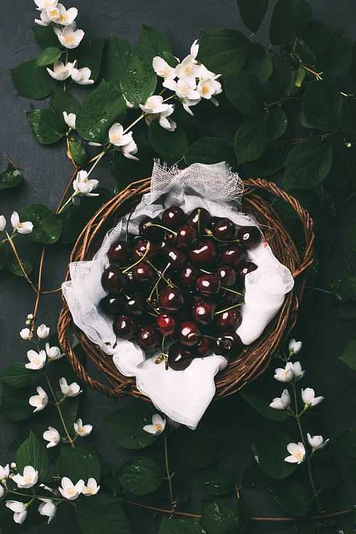 top view of ripe sweet cherries in basket and beautiful jasmine flowers on black