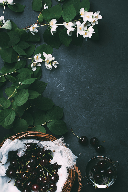 top view of white blooming jasmine flowers and ripe sweet cherries on black