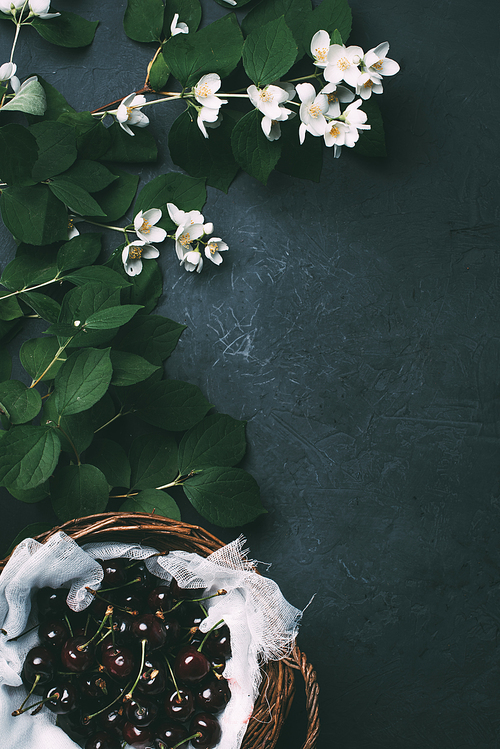 white blooming jasmine flowers and ripe sweet cherries in basket on black